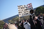 Ορκωμοσία Αποφοίτων